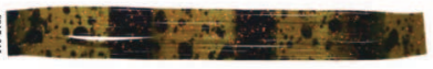 8817-215 Watermelon / Pumpkin Black Nature's Edge