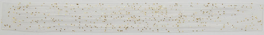 8801-096 Clear / Gold & Lime Flk