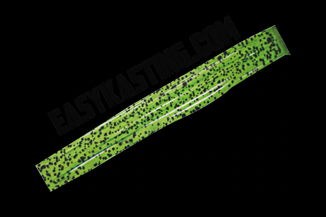 ABYSSAL GREEN - Text Removed