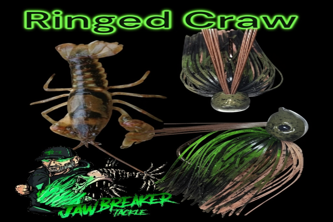 Enhanced Ringed Craw