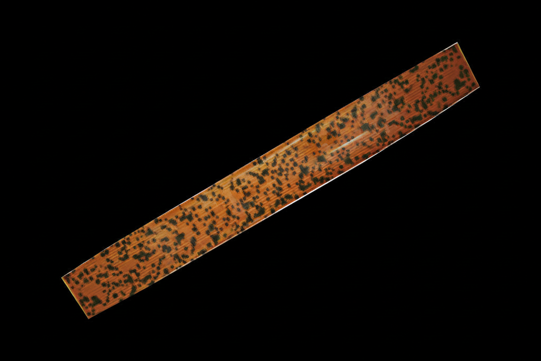 SPORE COLONY - Text Removed