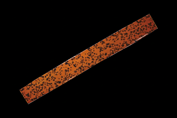 SUBSTRATE - Text Removed